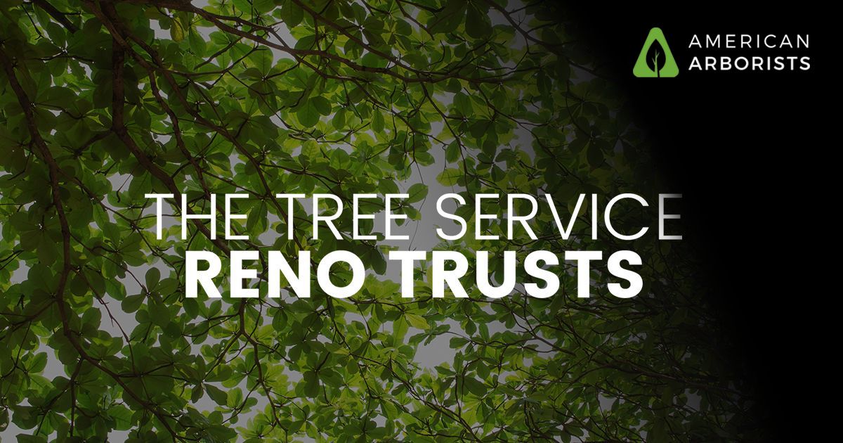 American Arborists Tree Service - Reno, NV