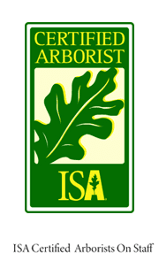 ISA Certified Arborists on Staff